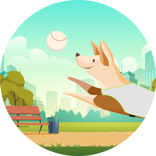 Dog Cooling Jackets Stay Cool In The Heat Chillybuddy