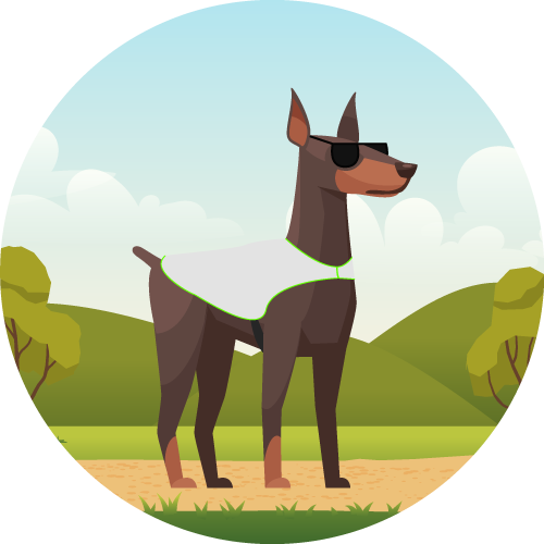 Dog Cooling Jackets Stay Cool In The Heat Chillybuddy