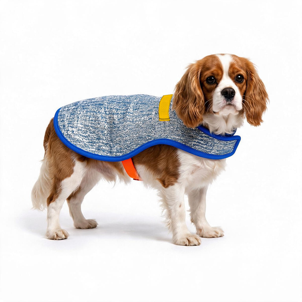 Chillybuddy Cooling Jacket