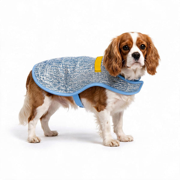 Chillybuddy Cooling Jacket