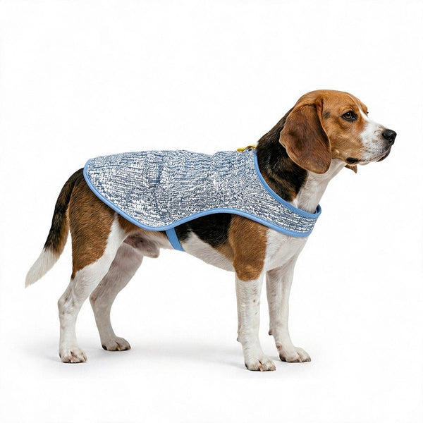 Chillybuddy Cooling Jacket