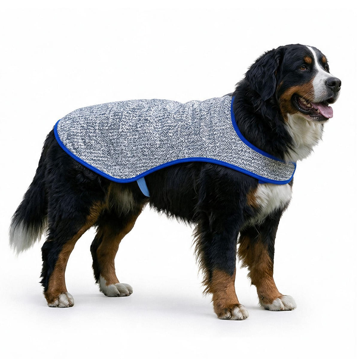 Chillybuddy Cooling Jacket