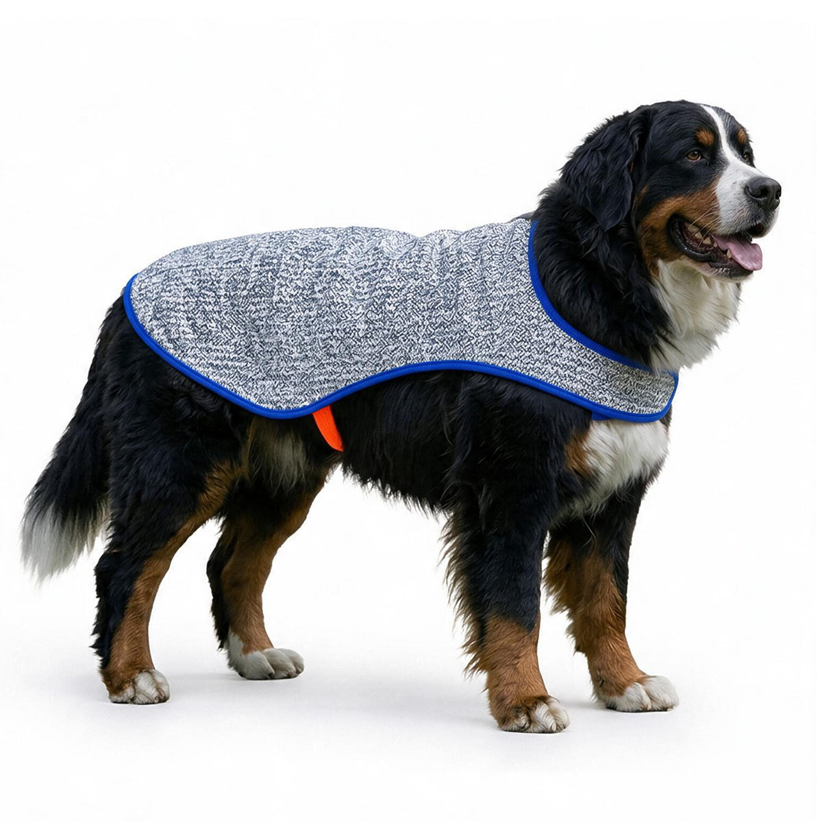 Chillybuddy Cooling Jacket