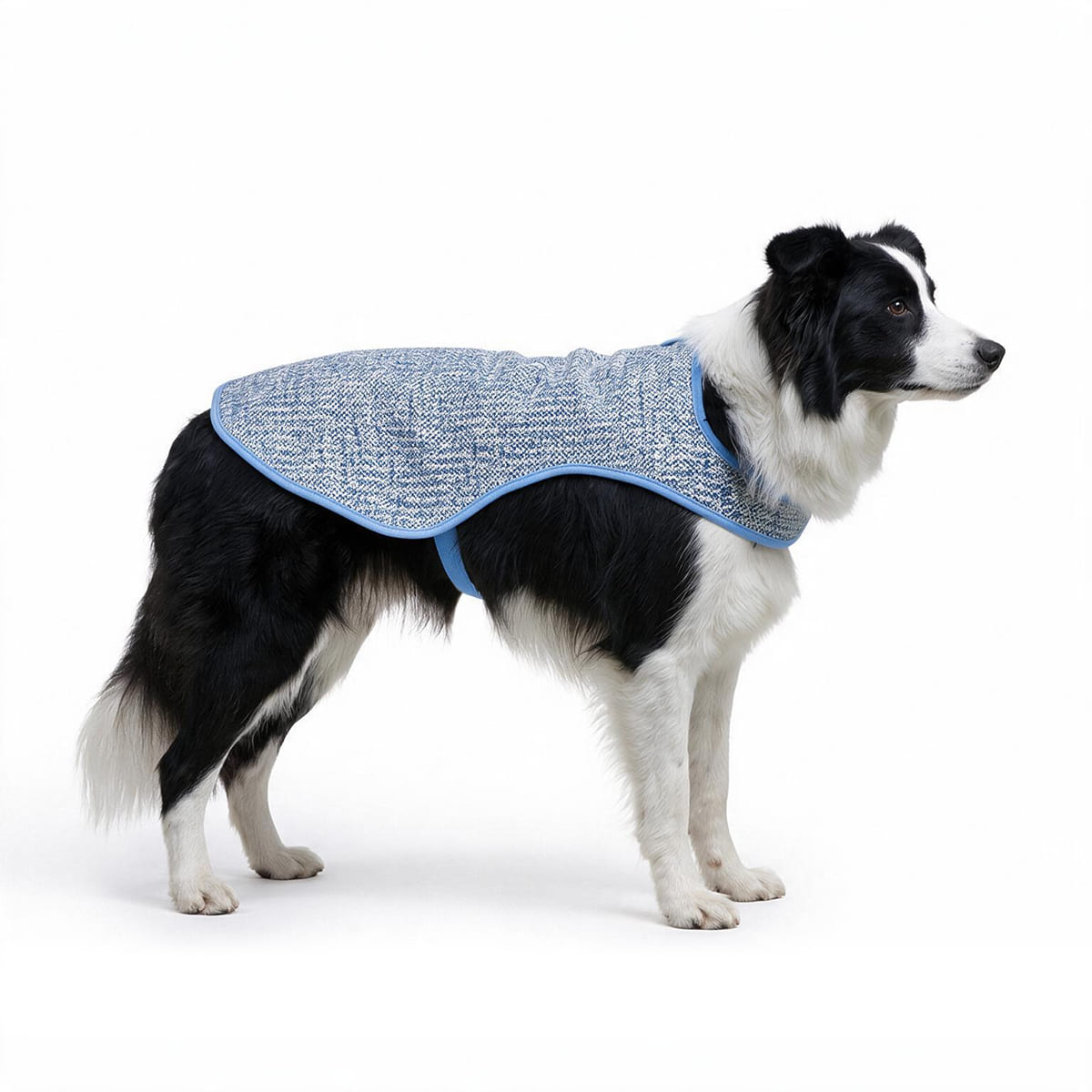 Chillybuddy Cooling Jacket