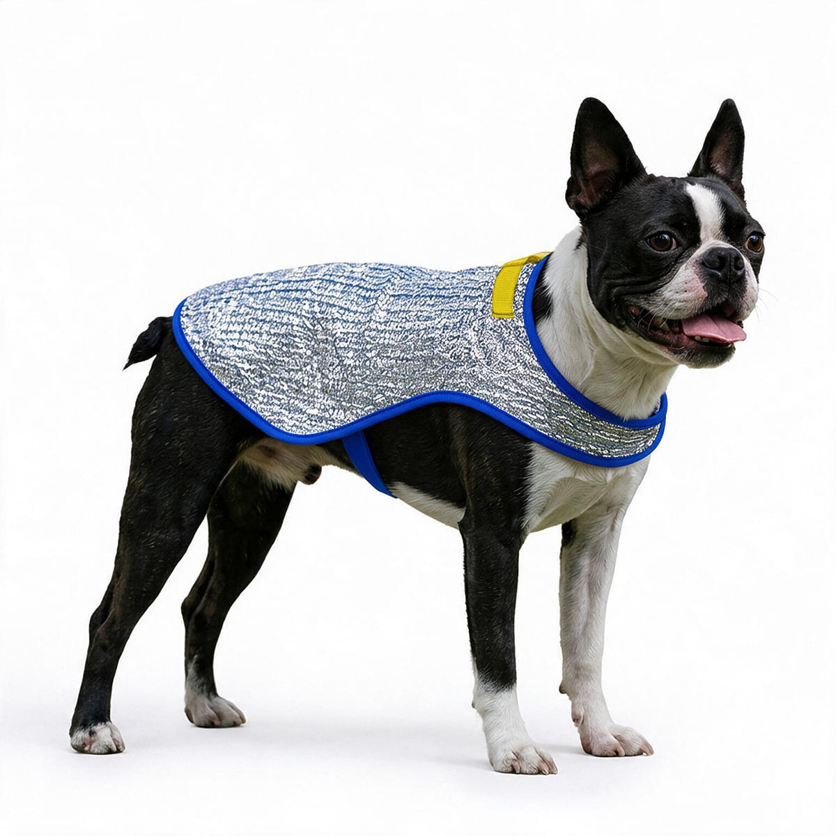 Chillybuddy Cooling Jacket
