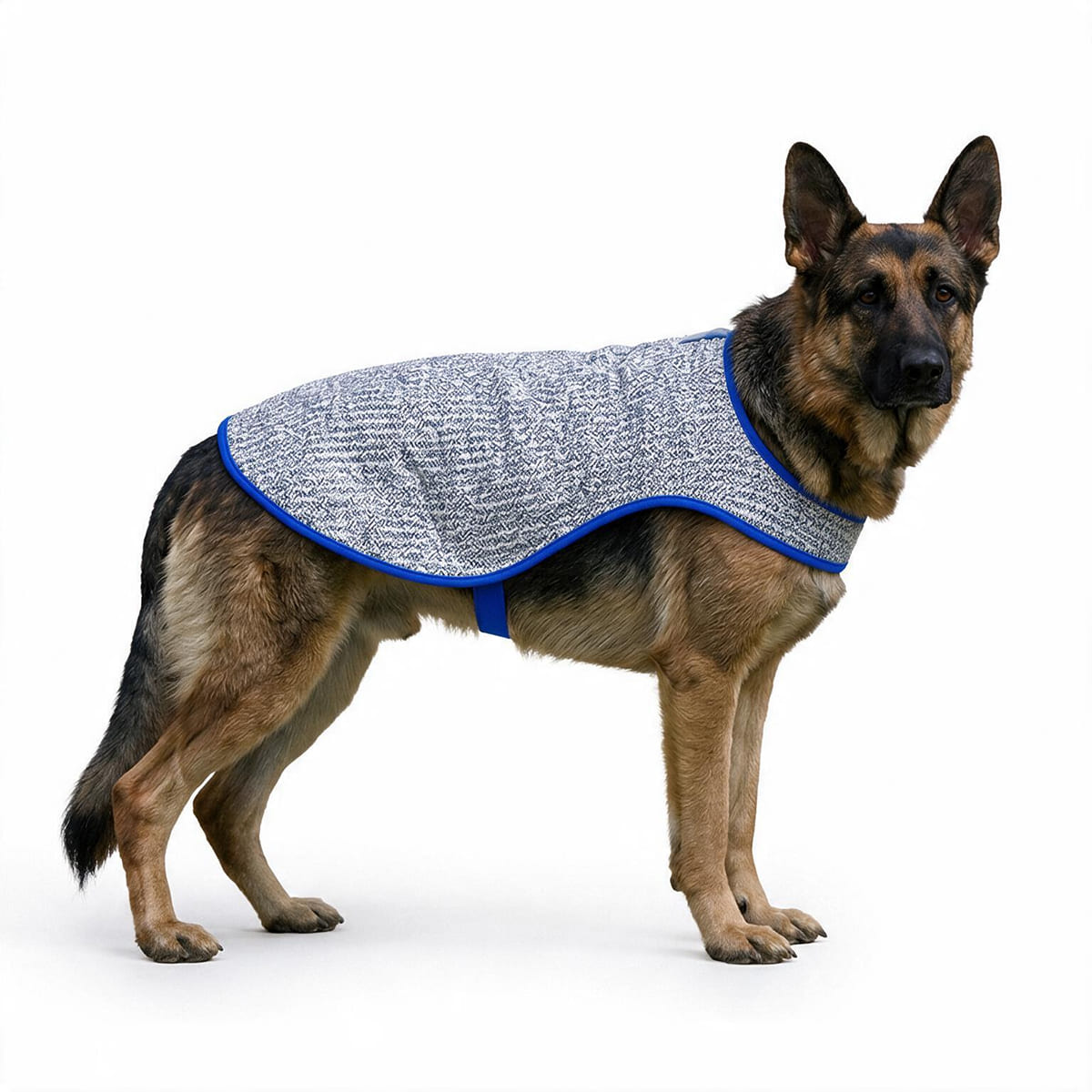 Chillybuddy Cooling Jacket