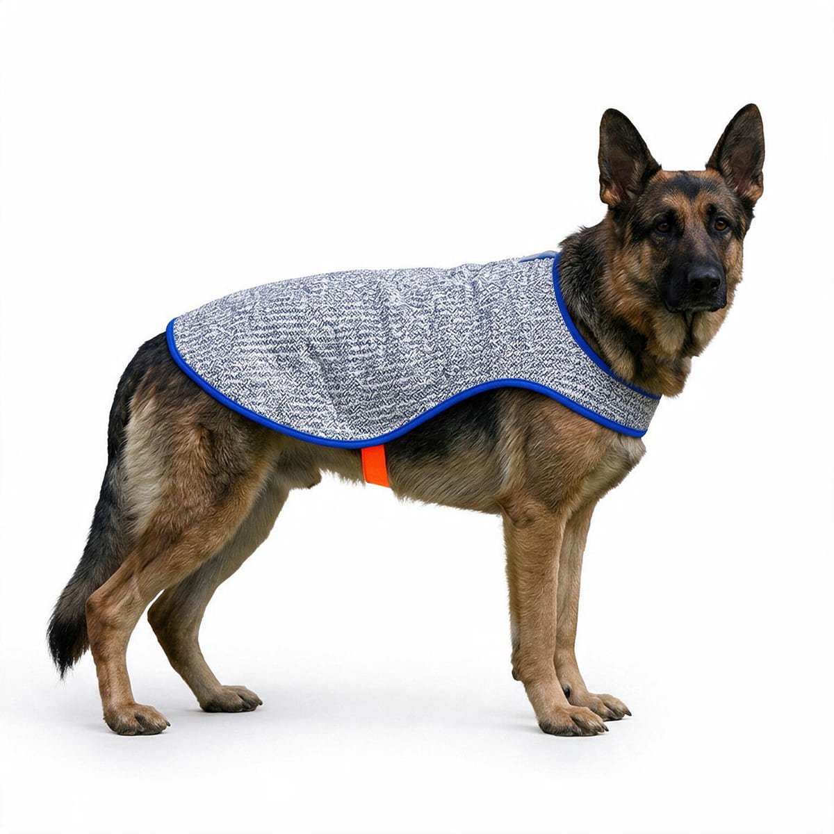 Chillybuddy Cooling Jacket