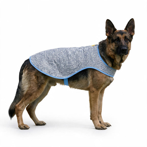 Chillybuddy Cooling Jacket