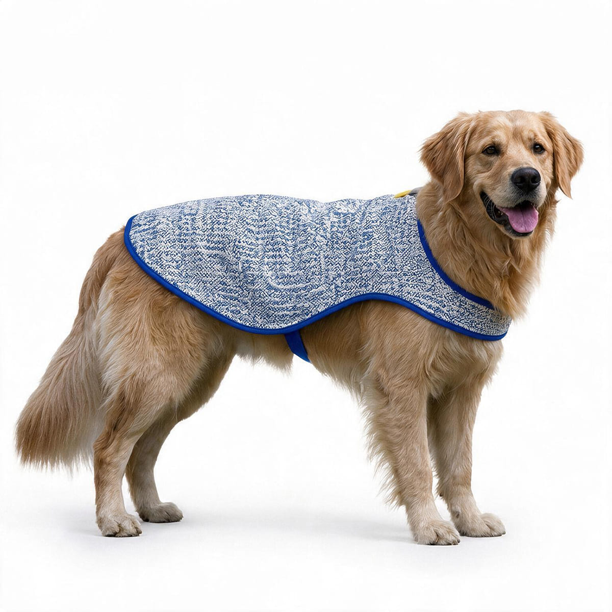 Chillybuddy Cooling Jacket