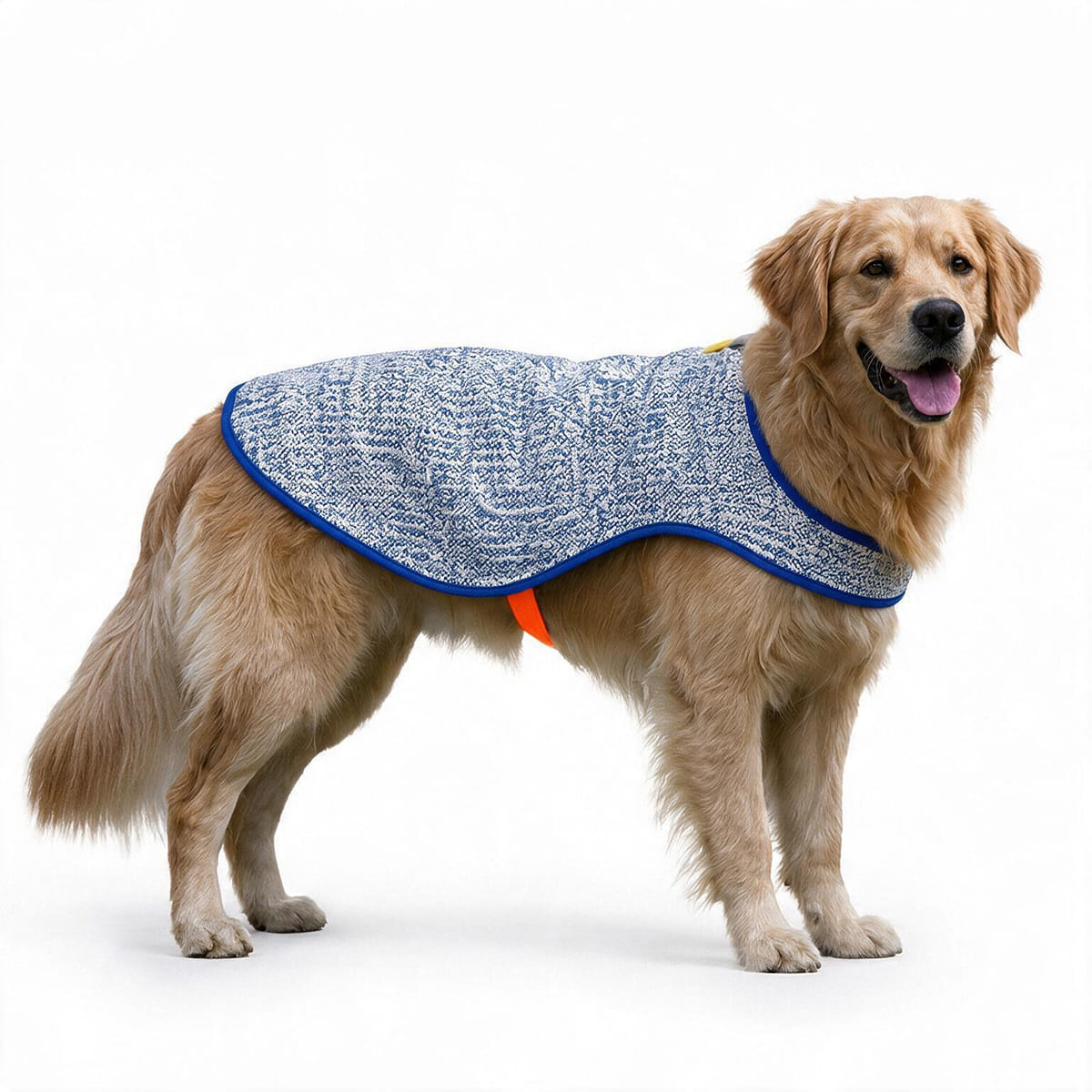 Chillybuddy Cooling Jacket