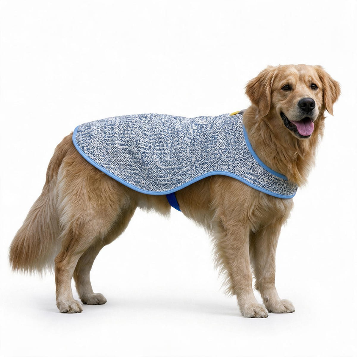 Chillybuddy Cooling Jacket