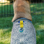 Chillybuddy Cooling Jacket