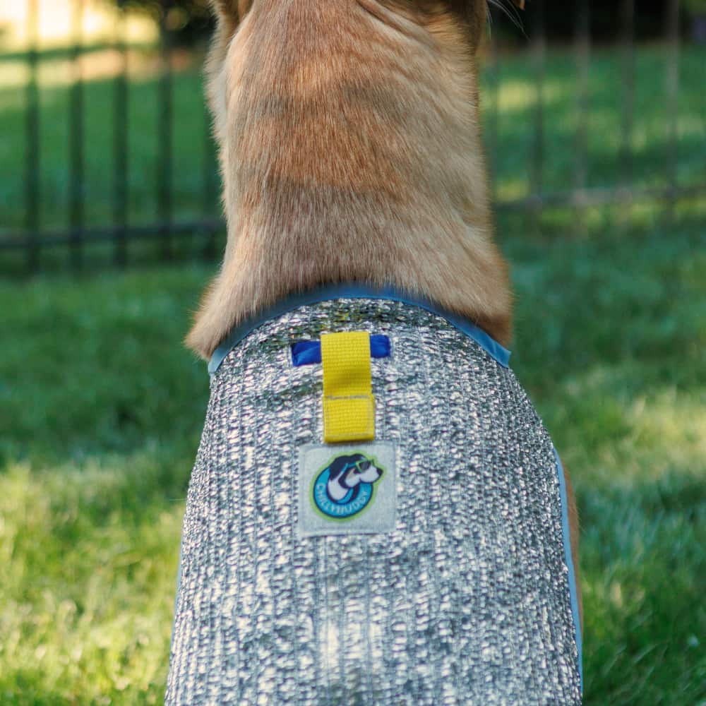 Chillybuddy Cooling Jacket