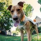 Chillybuddy Cooling Jacket